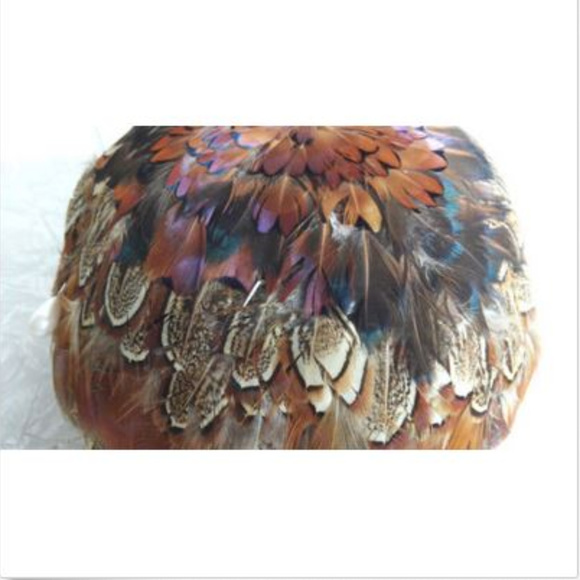*Vintage 40s 50s Handmade Pheasant Breast Pill Box main image 10